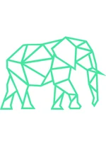 Elephant in the Room